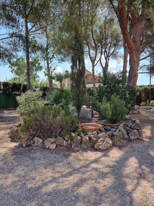 El Rulon, Gran Villa Rural Con Piscina Privada Alicante Exteriér fotografie