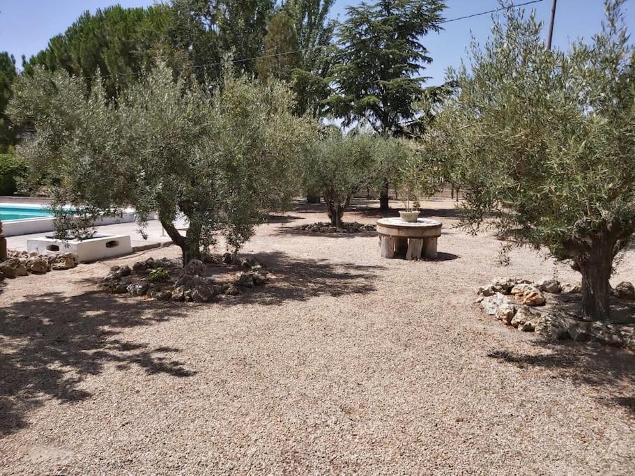 El Rulon, Gran Villa Rural Con Piscina Privada Alicante Exteriér fotografie